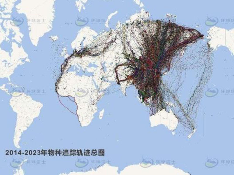 国际鸟类学家联盟与湖南环球信士科技有限公司就推动鸟类学和生态保护研究达成战略合作协议