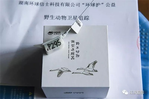 湖南环球信士科技有限公司,湖南野生动物追踪,湖南卫星追踪器,湖南追踪器