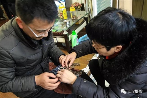 湖南环球信士科技有限公司,湖南野生动物追踪,湖南卫星追踪器,湖南追踪器