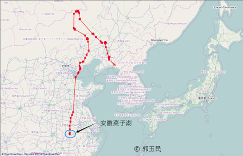 湖南环球信士科技有限公司,湖南野生动物追踪,湖南卫星追踪器,湖南追踪器 湖南环球信士科技有限公司,湖南野生动物追踪,湖南卫星追踪器,湖南追踪器