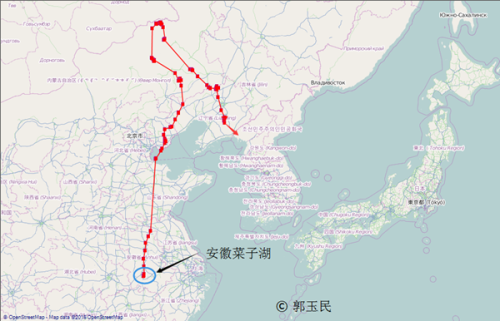 湖南环球信士科技有限公司,湖南野生动物追踪,湖南卫星追踪器,湖南追踪器