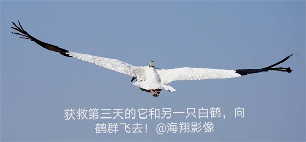 湖南环球信士科技有限公司,湖南野生动物追踪,湖南卫星追踪器,湖南追踪器 湖南环球信士科技有限公司,湖南野生动物追踪,湖南卫星追踪器,湖南追踪器