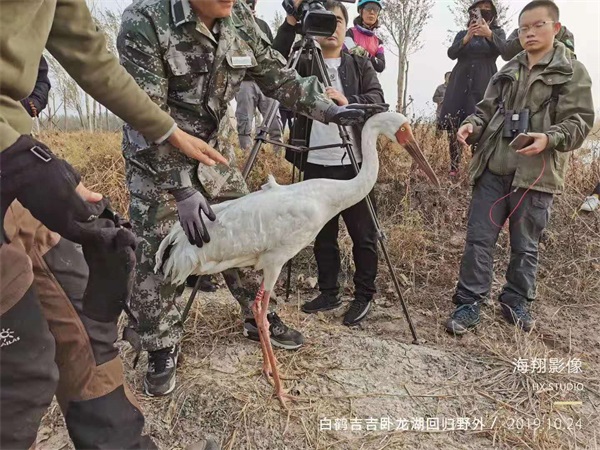 湖南环球信士科技有限公司,湖南野生动物追踪,湖南卫星追踪器,湖南追踪器