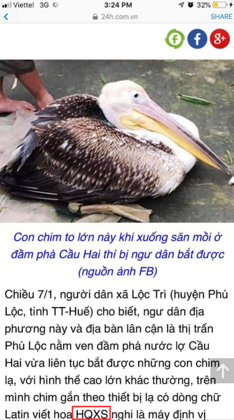 湖南环球信士科技有限公司,湖南野生动物追踪,湖南卫星追踪器,湖南追踪器