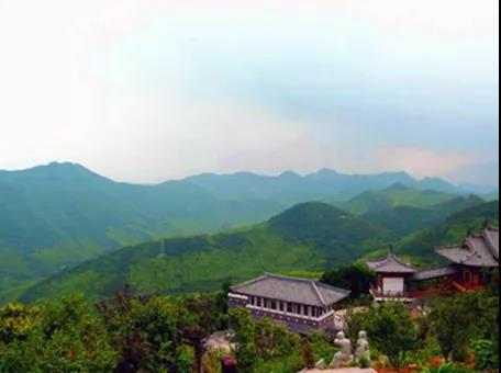 攸县兴林油茶,油茶苗,油茶果,轻基质杯苗,裸根苗,油茶苗价格,油茶苗批发,油茶苗基地