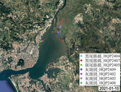 湖南环球信士科技有限公司,湖南野生动物追踪,湖南卫星追踪器,湖南追踪器