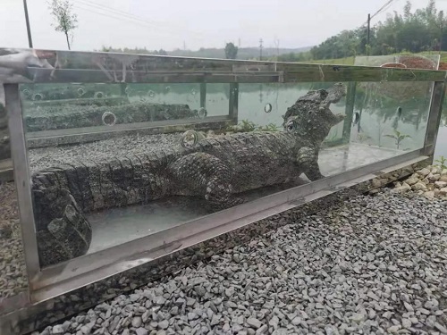 湖南环球信士科技有限公司,湖南野生动物追踪,湖南卫星追踪器,湖南追踪器