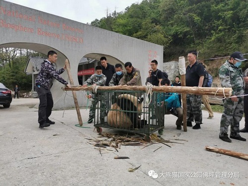 湖南环球信士科技有限公司,湖南野生动物追踪,湖南卫星追踪器,湖南追踪器