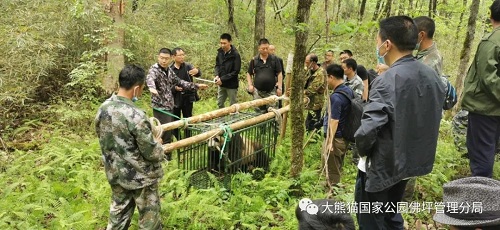 湖南环球信士科技有限公司,湖南野生动物追踪,湖南卫星追踪器,湖南追踪器