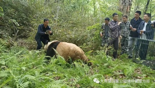 湖南环球信士科技有限公司,湖南野生动物追踪,湖南卫星追踪器,湖南追踪器