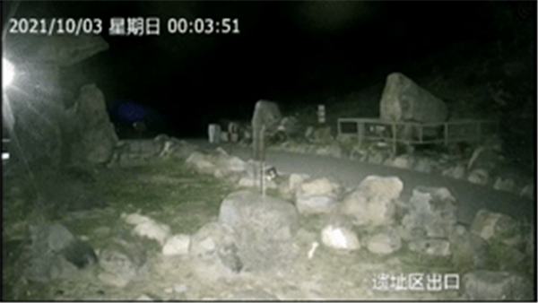 湖南环球信士科技有限公司,湖南野生动物追踪,湖南卫星追踪器,湖南追踪器