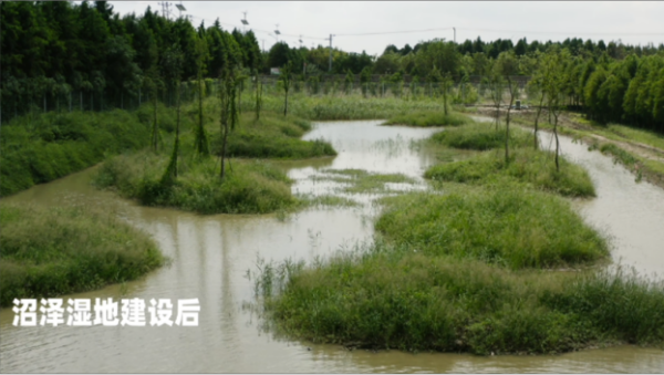 湖南环球信士科技有限公司,湖南野生动物追踪,湖南卫星追踪器,湖南追踪器