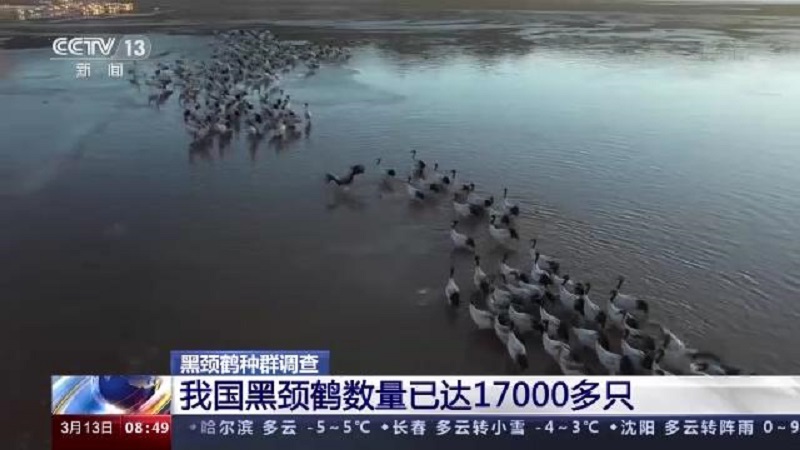 湖南环球信士科技有限公司,湖南野生动物追踪,湖南卫星追踪器,湖南追踪器