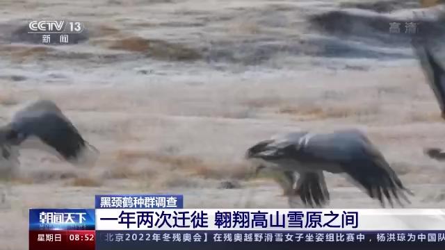 湖南环球信士科技有限公司,湖南野生动物追踪,湖南卫星追踪器,湖南追踪器