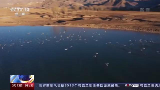 湖南环球信士科技有限公司,湖南野生动物追踪,湖南卫星追踪器,湖南追踪器