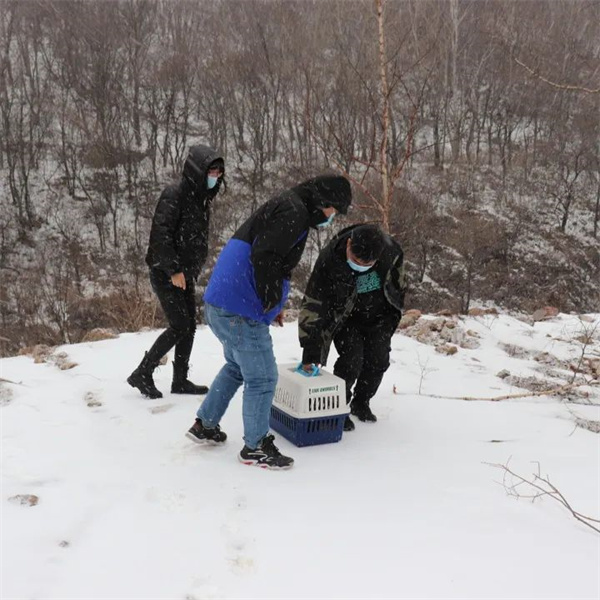 湖南环球信士科技有限公司,湖南野生动物追踪,湖南卫星追踪器,湖南追踪器