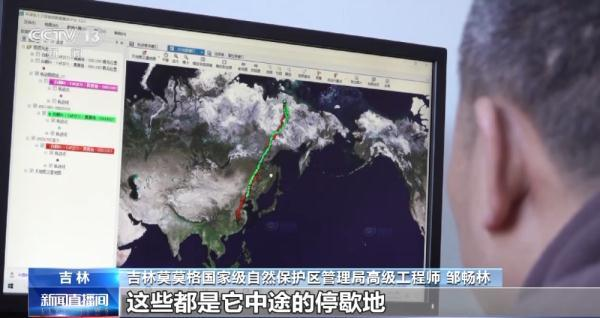 湖南环球信士科技有限公司,湖南野生动物追踪,湖南卫星追踪器,湖南追踪器