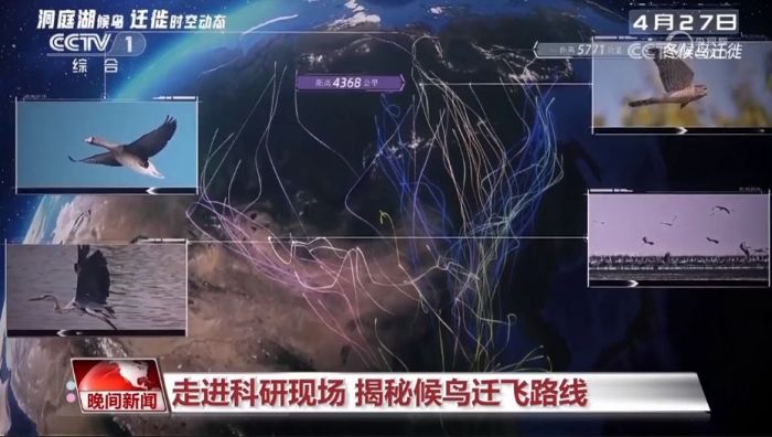 湖南环球信士科技有限公司,湖南野生动物追踪,湖南卫星追踪器,湖南追踪器