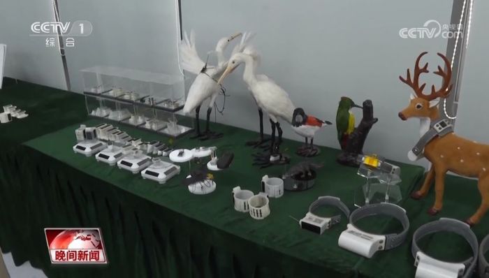 湖南环球信士科技有限公司,湖南野生动物追踪,湖南卫星追踪器,湖南追踪器