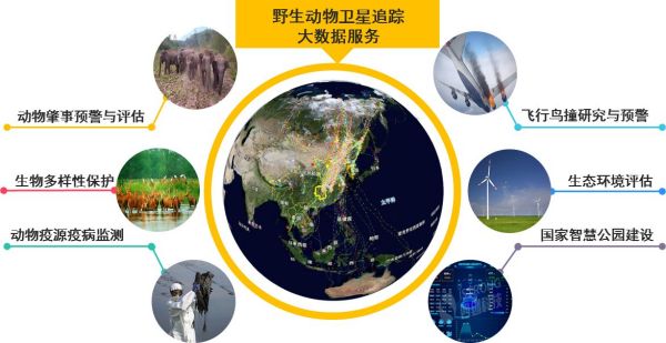 湖南环球信士科技有限公司,湖南野生动物追踪,湖南卫星追踪器,湖南追踪器