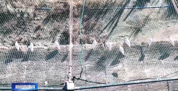 湖南环球信士科技有限公司,湖南野生动物追踪,湖南卫星追踪器,湖南追踪器