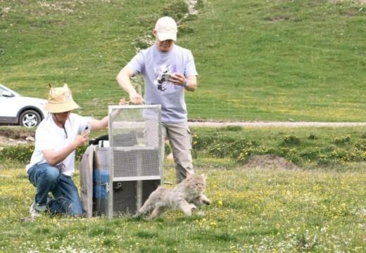 湖南环球信士科技有限公司,湖南野生动物追踪,湖南卫星追踪器,湖南追踪器