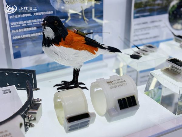 湖南环球信士科技有限公司,湖南野生动物追踪,湖南卫星追踪器,湖南追踪器