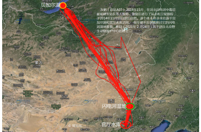 湖南环球信士科技有限公司,湖南野生动物追踪,湖南卫星追踪器,湖南追踪器
